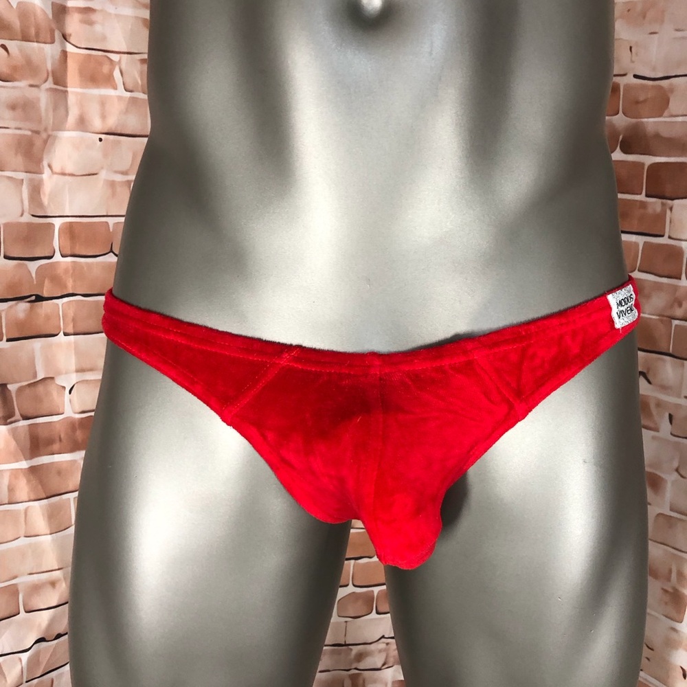 Modus Vivendi velour bikini Sz L (fits like M)